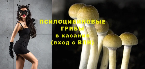 эйфоретик Верхний Тагил