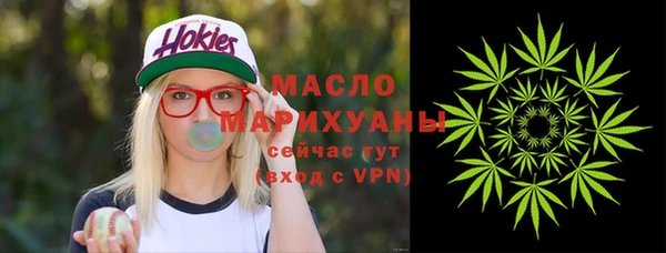 индика Семилуки