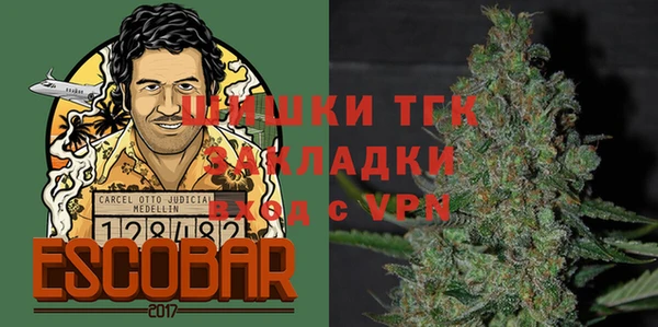 индика Семилуки
