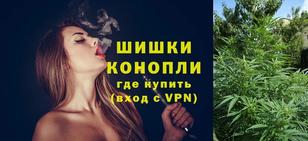 PSILOCYBIN Верея